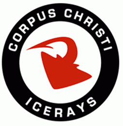 corpus christi icerays 2010-pres alternate logo iron on heat transfer